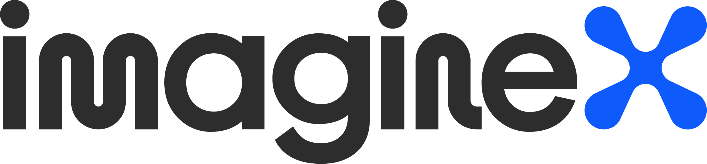 ImagineX